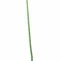 CABO 4MM PR� ESTIRADO VERDE FLUORESCENTE