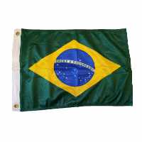Bandeira do Brasil 33 x 47